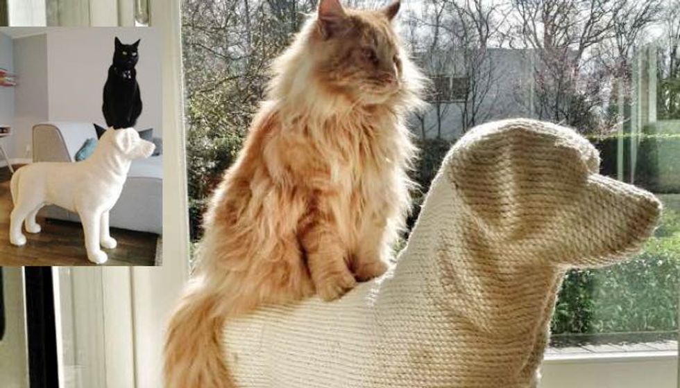 Man Builds Dog-shaped Scratching Post for His Beloved Cat