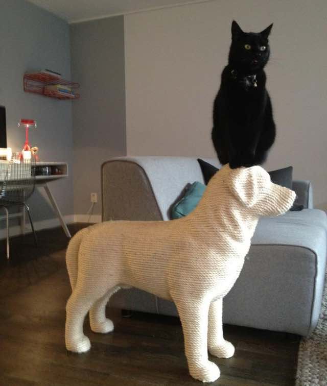 Man Builds Dog shaped Scratching Post for His Beloved Cat Love Meow