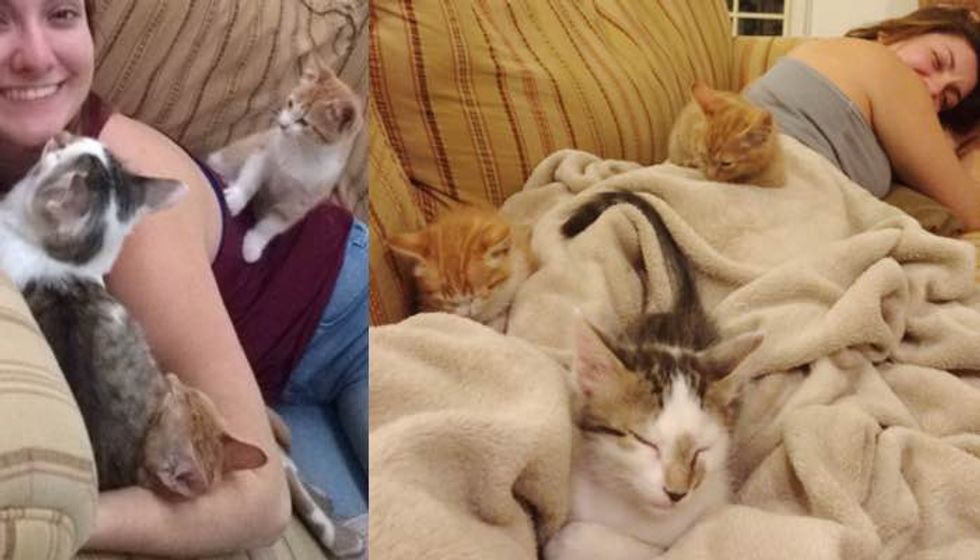 She Rescued These Fur Babies, Now They Can't Stop the Cuddles :)