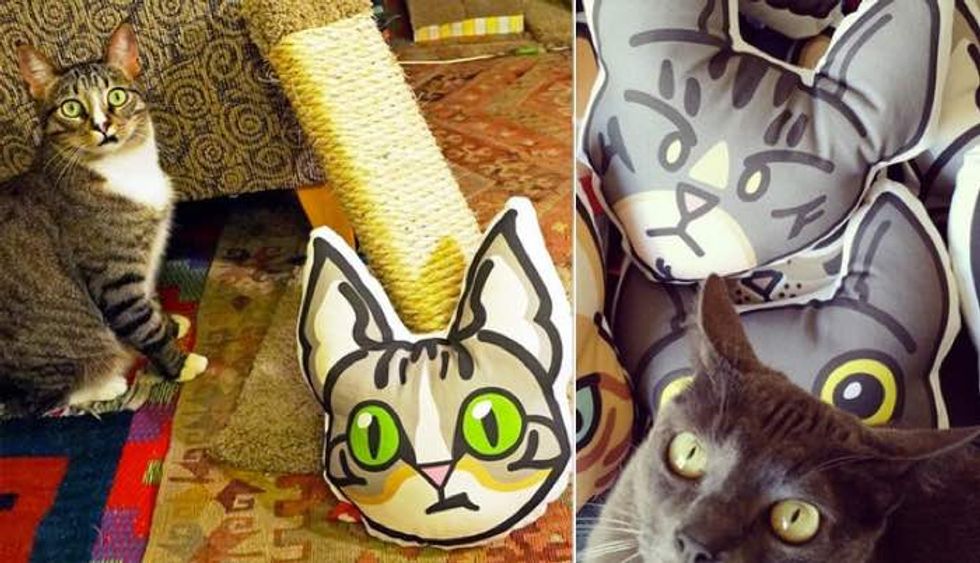 Young Woman Turns Her Love for Her Cats into Kitty Pillows!