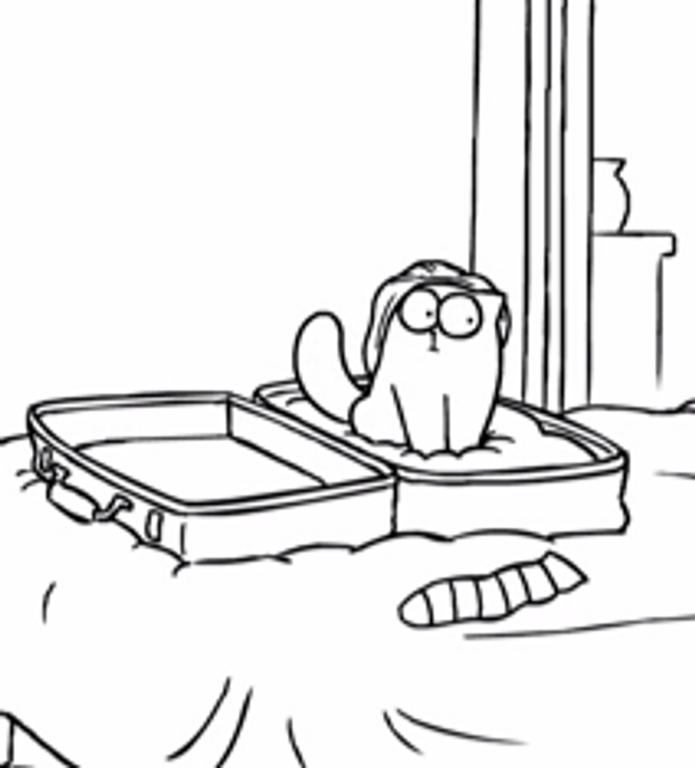 Suitcase - Simon's Cat