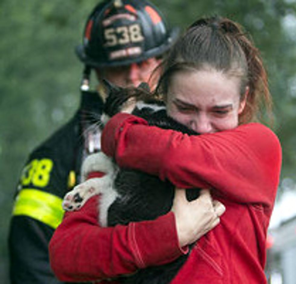 Firefighters Save Cat From House Fire: Emotional Reunion