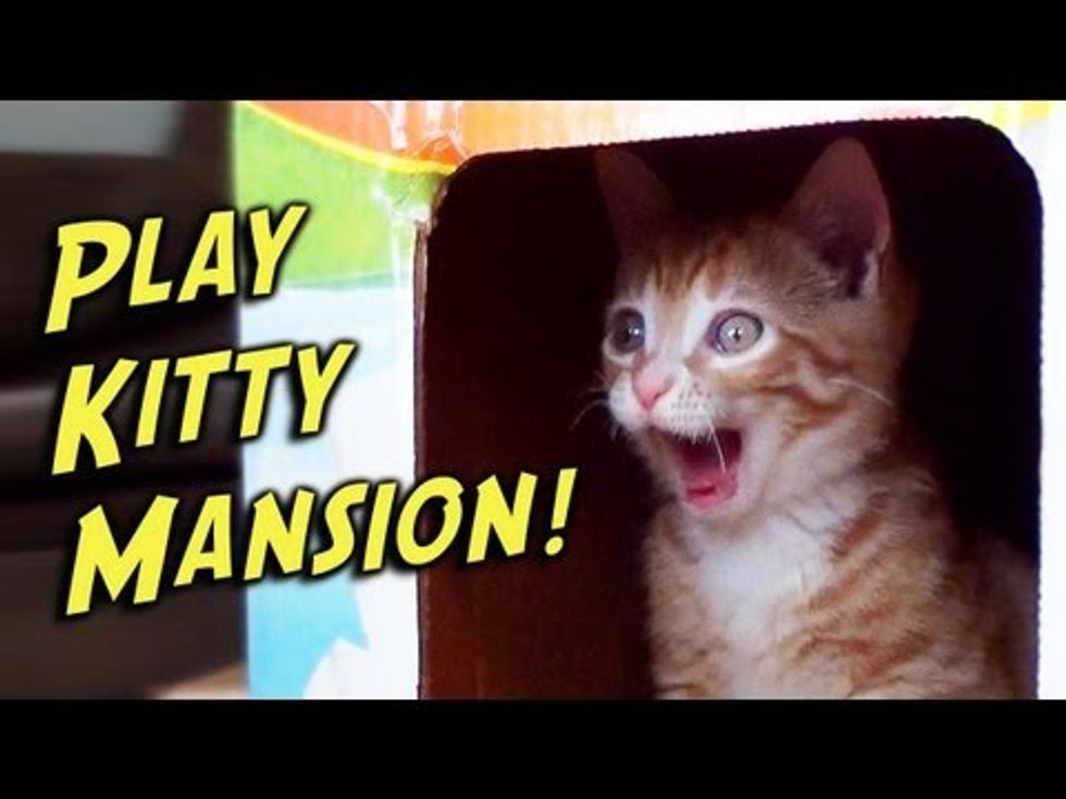 Play-Kitty Mansion