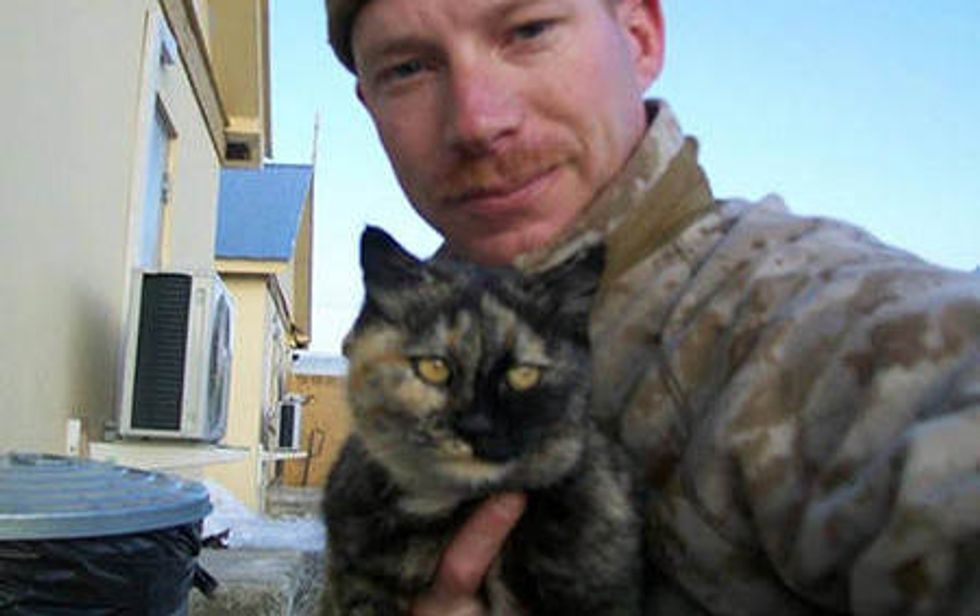 Tortie Cat Strays Into Soldier's Heart