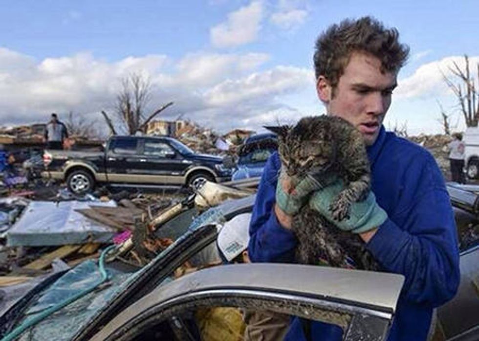 Cat Rescued From Rubble After Midwest Tornados