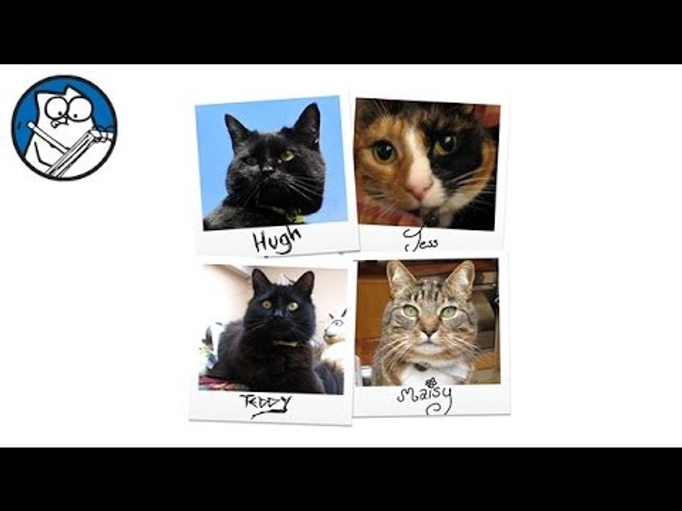 Simon's Real Cats