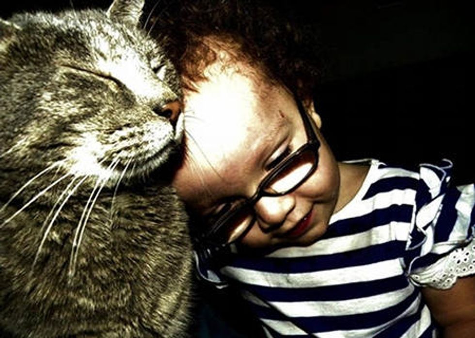 Special Needs Child Meets A Cat. This Happens...