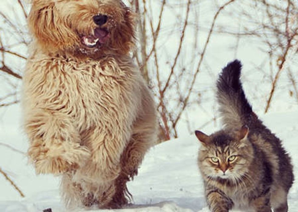 True Friends Always Stick Together