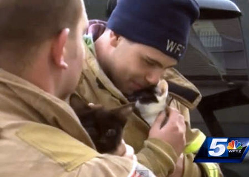 Firefighters Save Kittens From The Rubble After Fire