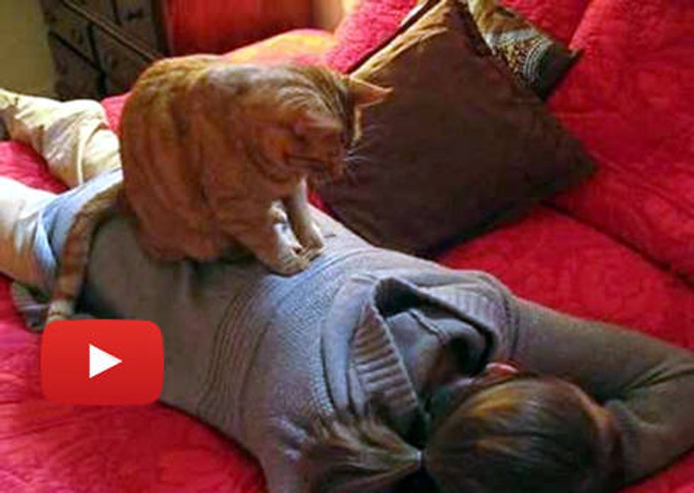 Kitty Back Massage