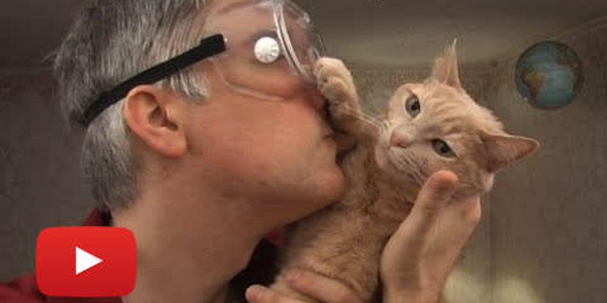 An Engineer's Guide to Cats 2.0 The Sequel Love Meow