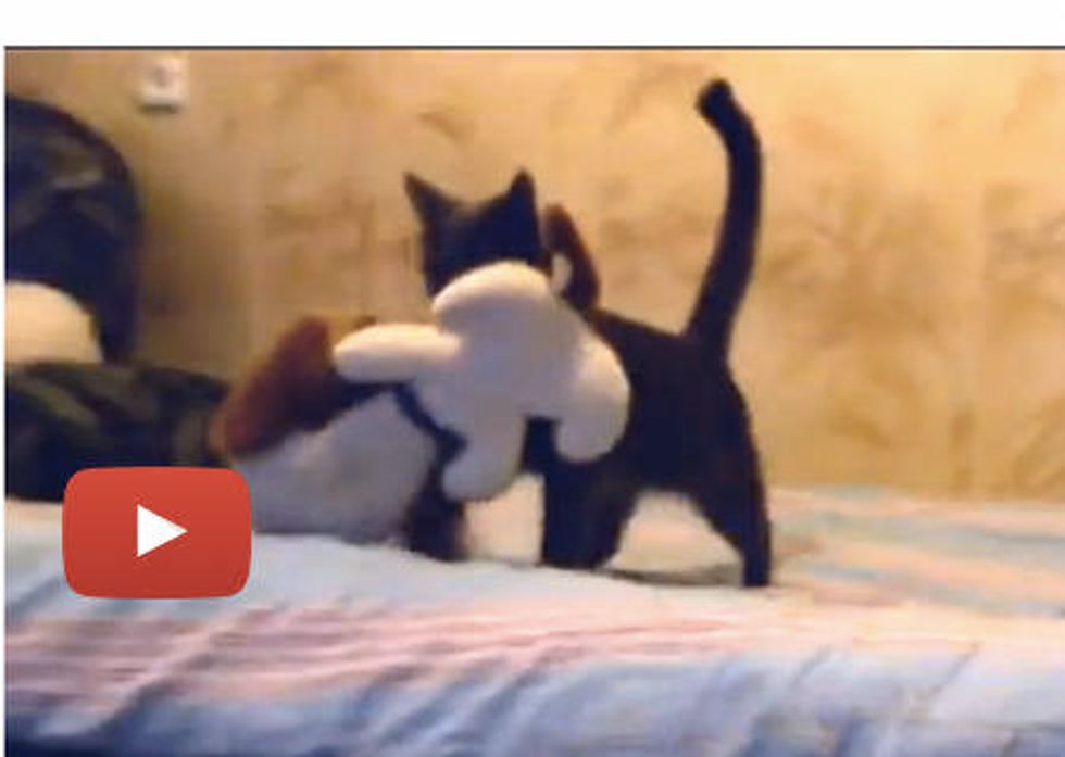 Kitty Kidnaps Toy