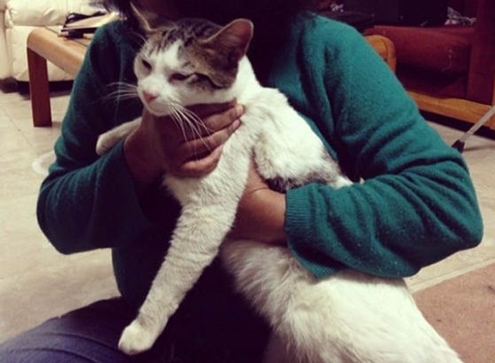 Man Spent Days to Save Stray Cat from Living in the Cold