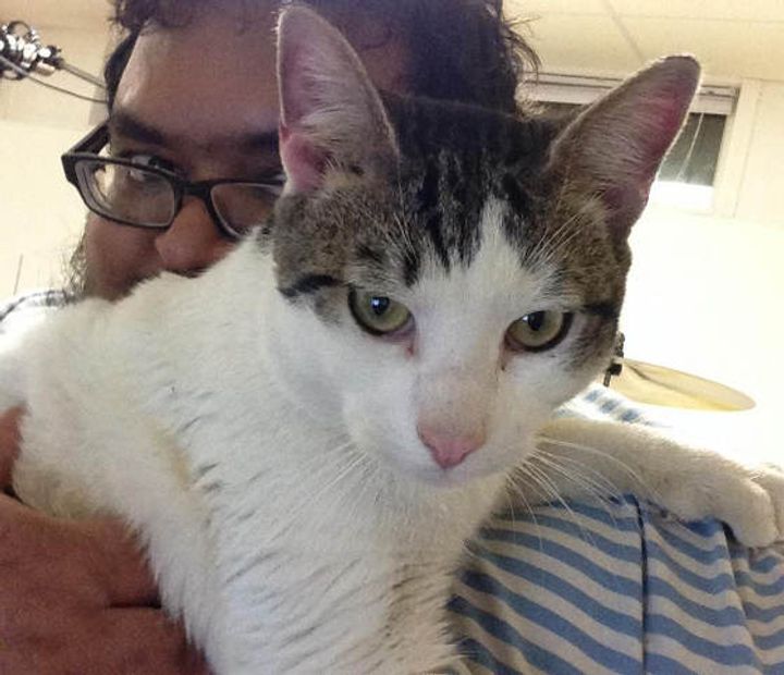 Man Spent Days to Save Stray Cat from Living in the Cold