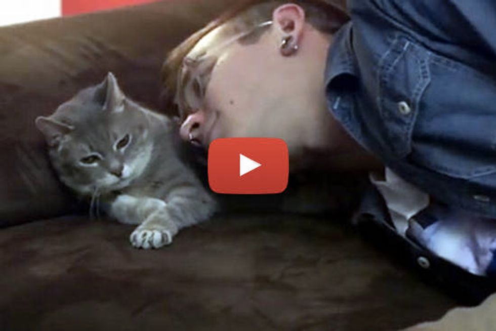 Man Gives Deaf Cat With Terminal Cancer The Best Life She Can Have