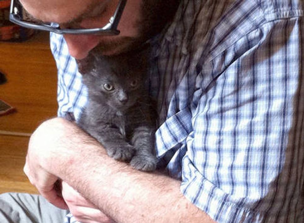 Quincy The Kitten Finds Home