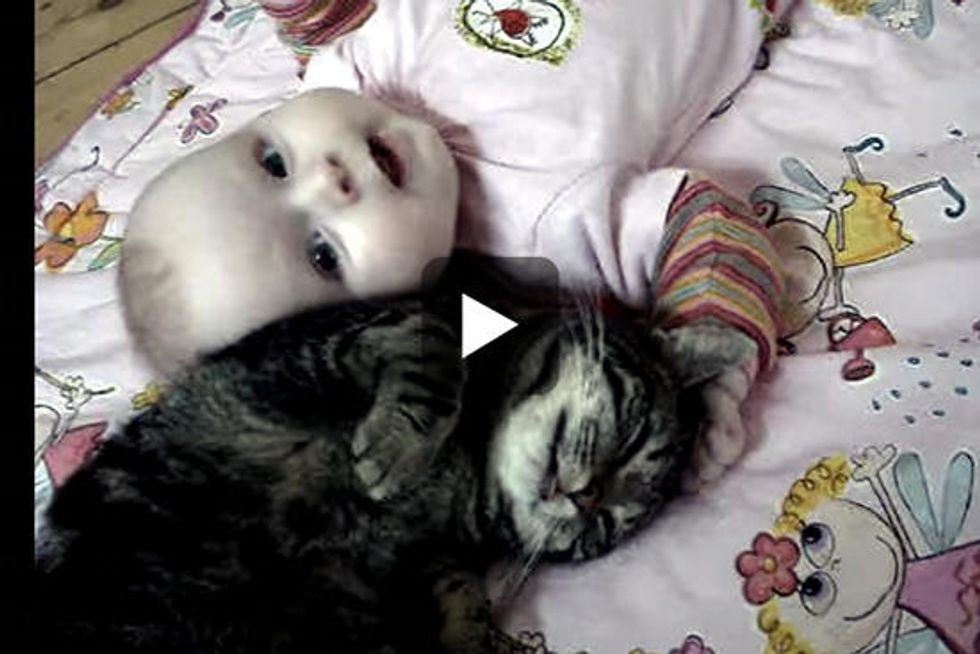 Cat And Baby Love Each Other