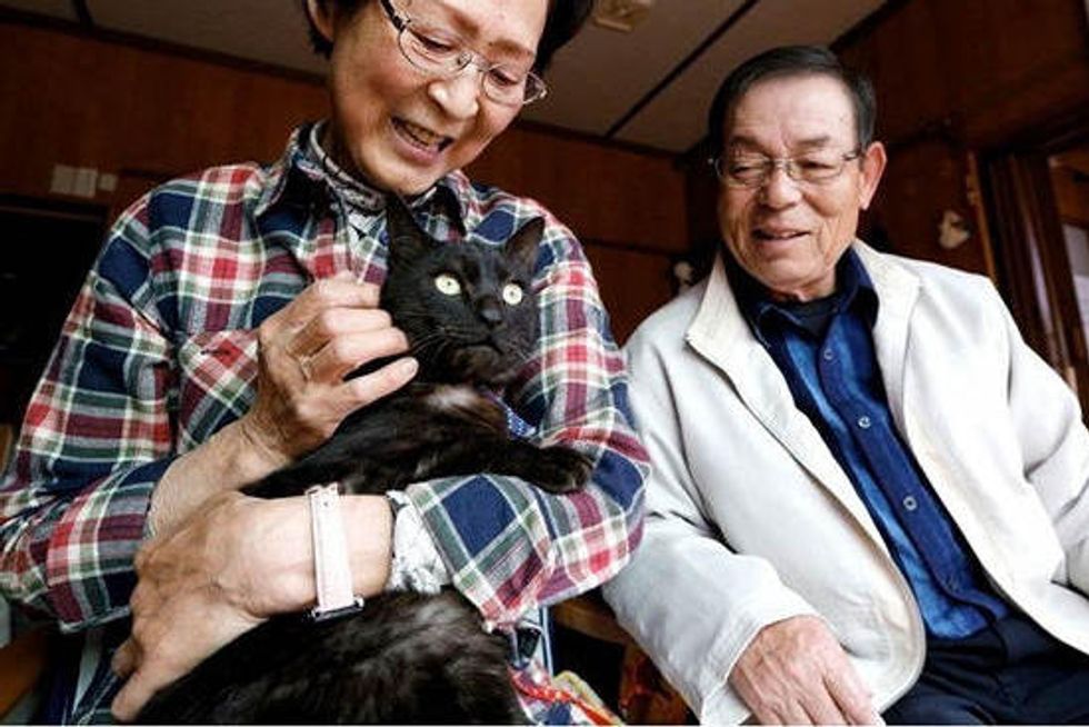Cat Missing Since Japan Tsunami Reunited With Family After Three Years