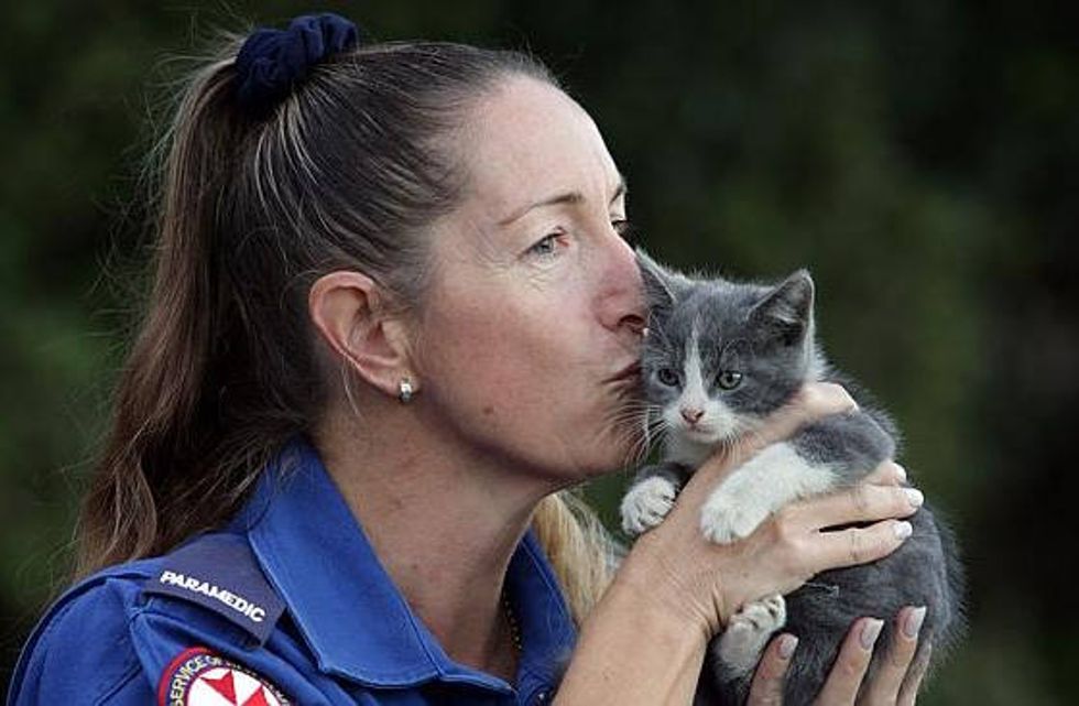 Smokey The Kitten Revived By Paramedics After House Fire