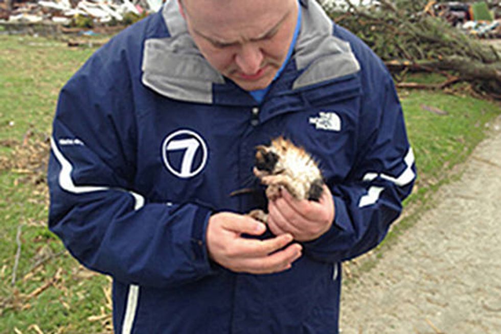 Kitten Rescued By Weatherman Reunited With Family