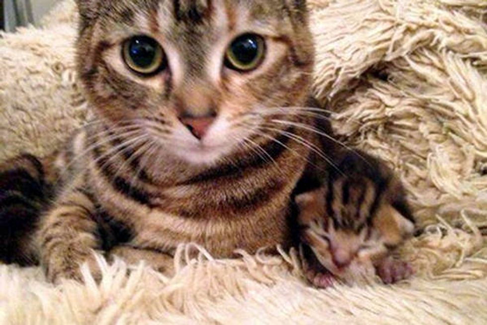 Surprise Rescue!