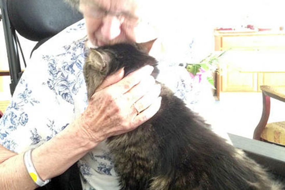 Touching Reunion: Cat Visits Her Human At Rehab Facility