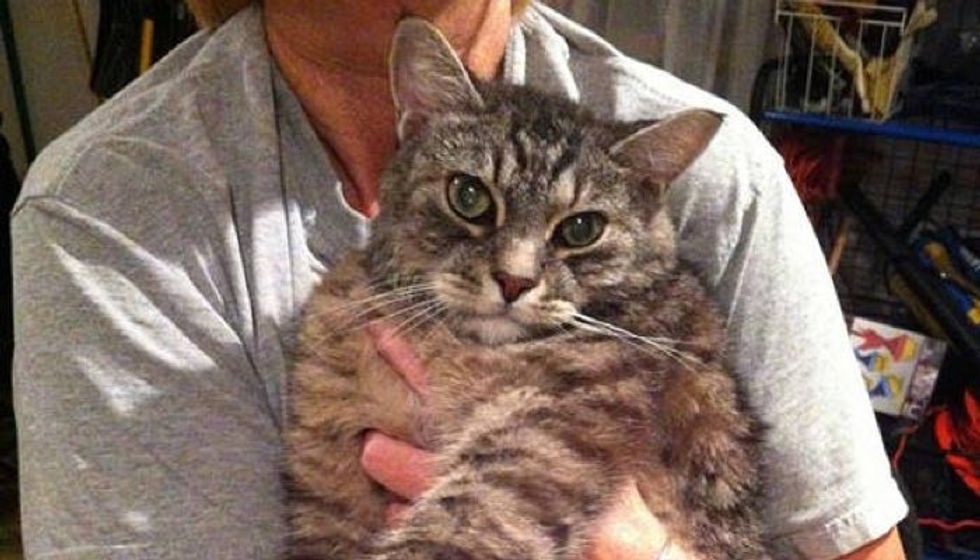 Jogger Swims To Save Cat Drowning In Carrier
