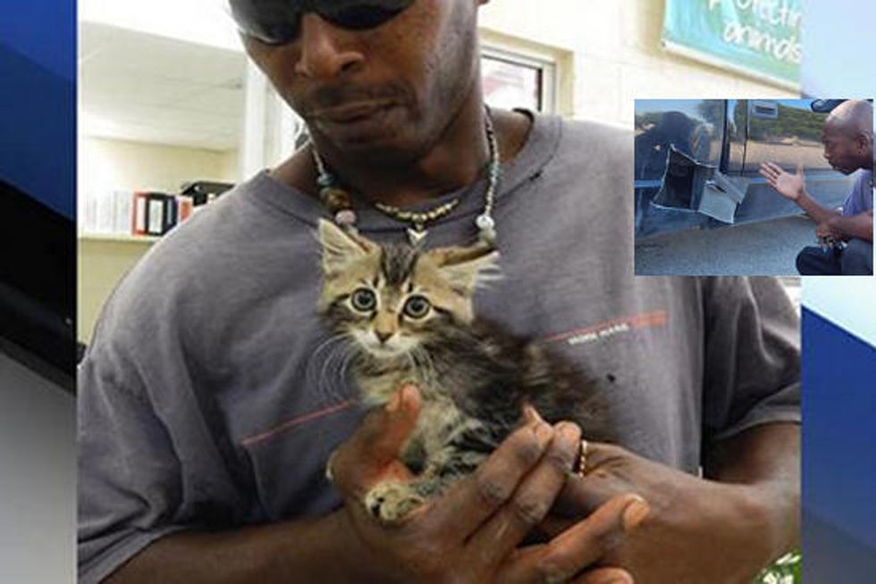 Man Saves Kitten By Cutting Open His Truck