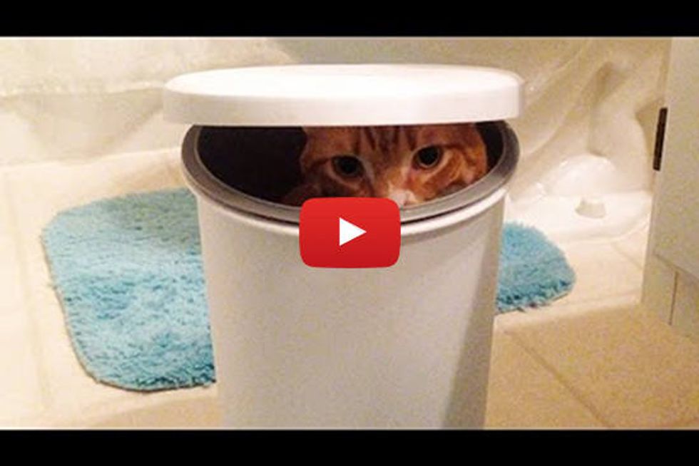 New Hiding Spot
