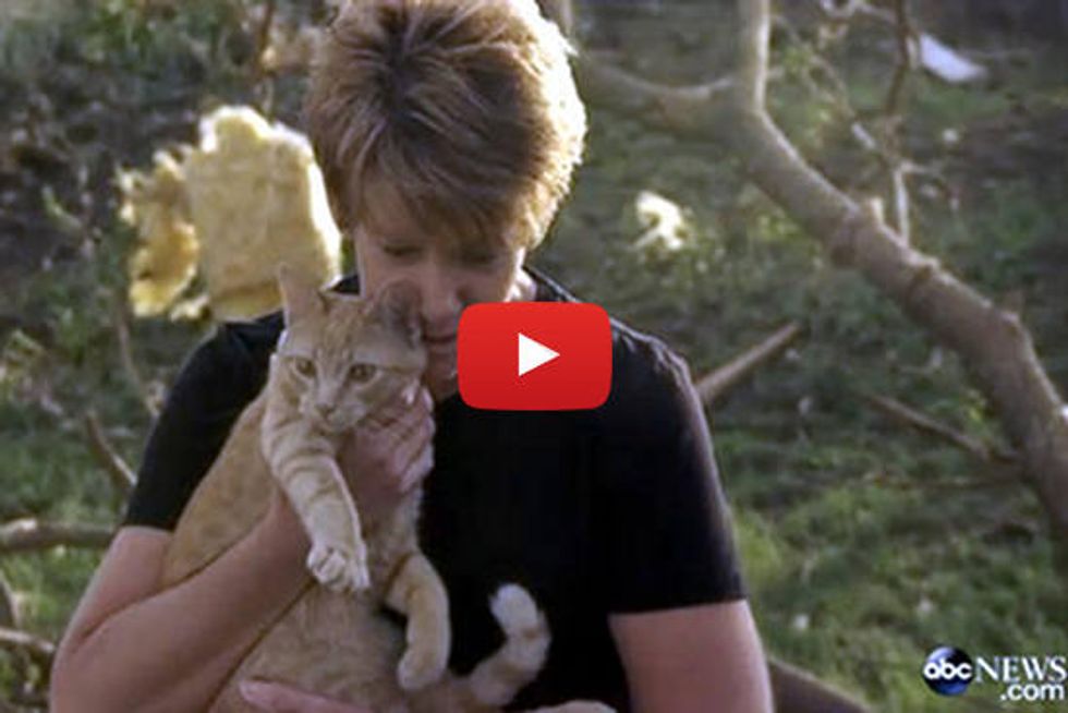 Nebraska Tornado Survivor Finds Her Family's Cat In Debris