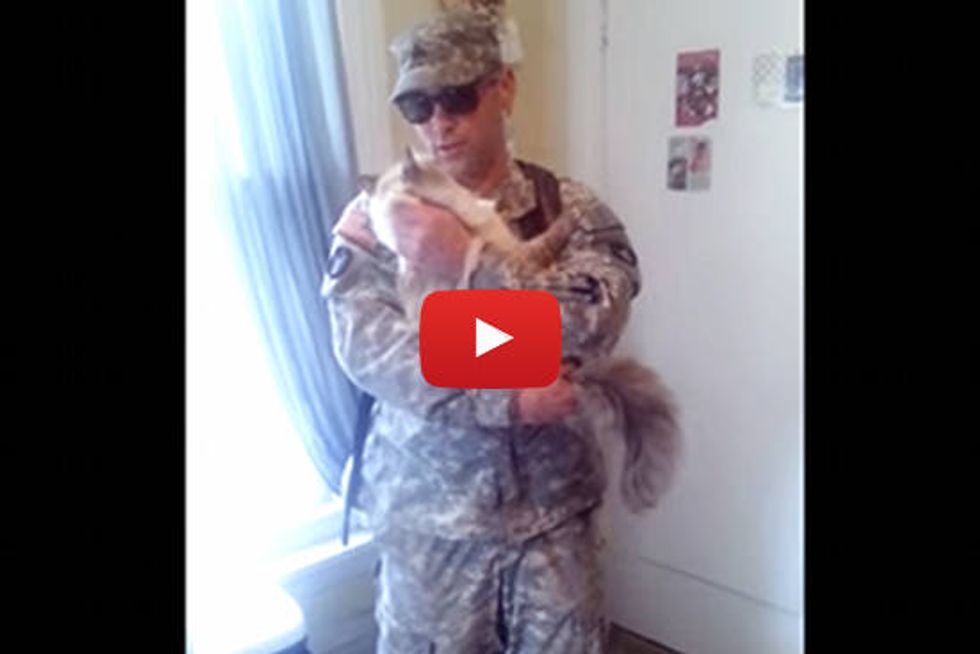 Cat Welcomes Home Soldier