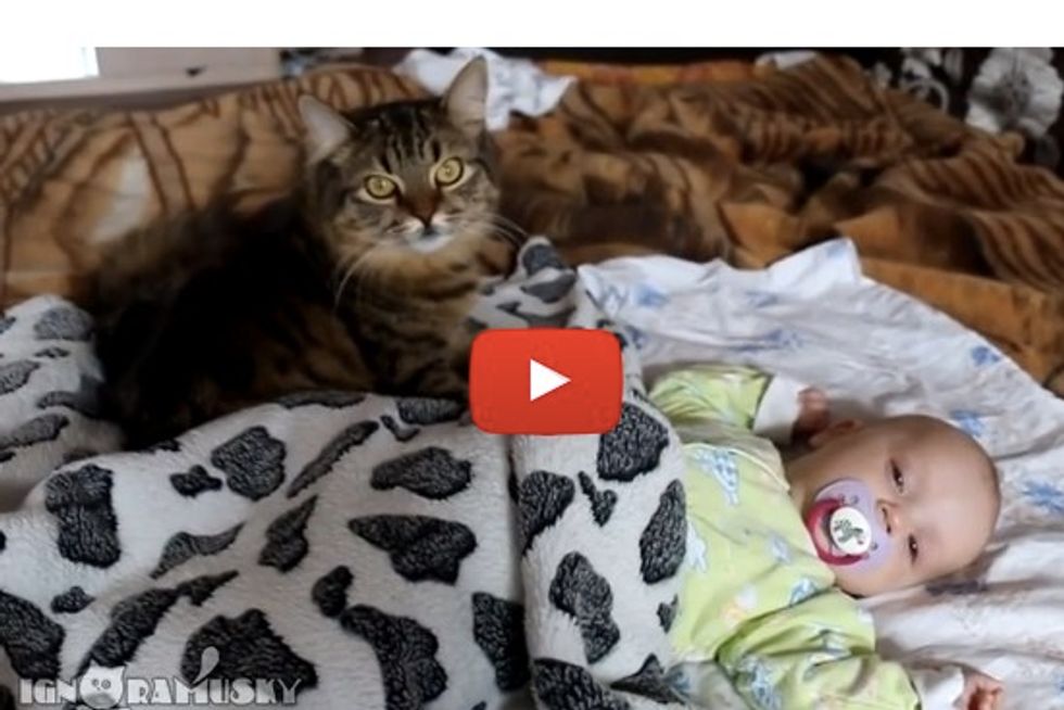 Gentle Cat Gives Baby A Massage & Cuddles