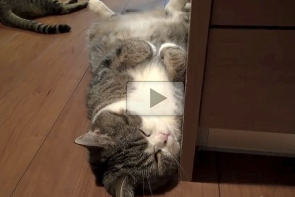 Maru And Hana On Hot Summer Night