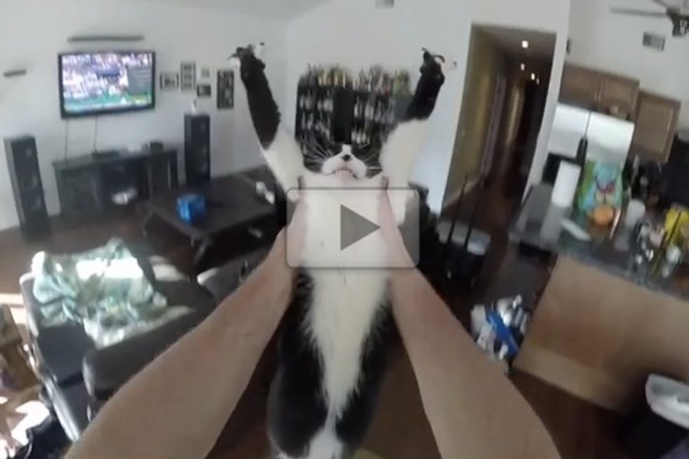 Franzie Kitty Hug