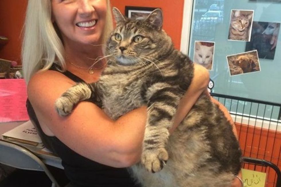Big 'Little Dude' The Cat On Mission To Healthier Weight