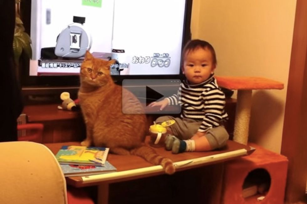 Cat And Baby TV Buddies