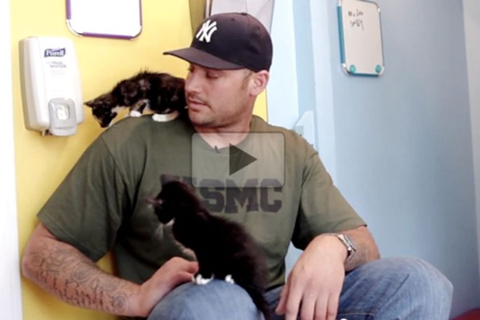 Giant Men Meet Tiny Kittens