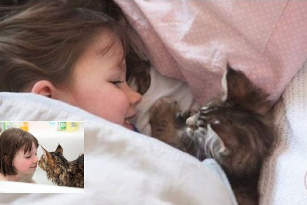 Thula The Cat Helps A Girl With Autism Live A Full Life