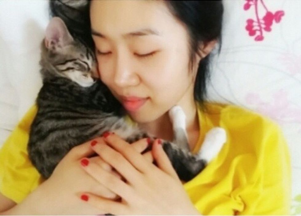 Rescue Tabby Kitten Finds Saving Grace - Love Meow