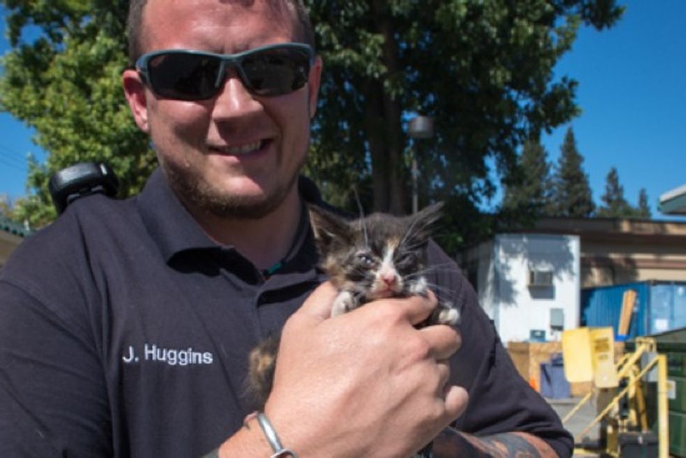 Officer Rescues A Sick Kitten And Becomes Her Foster Dad