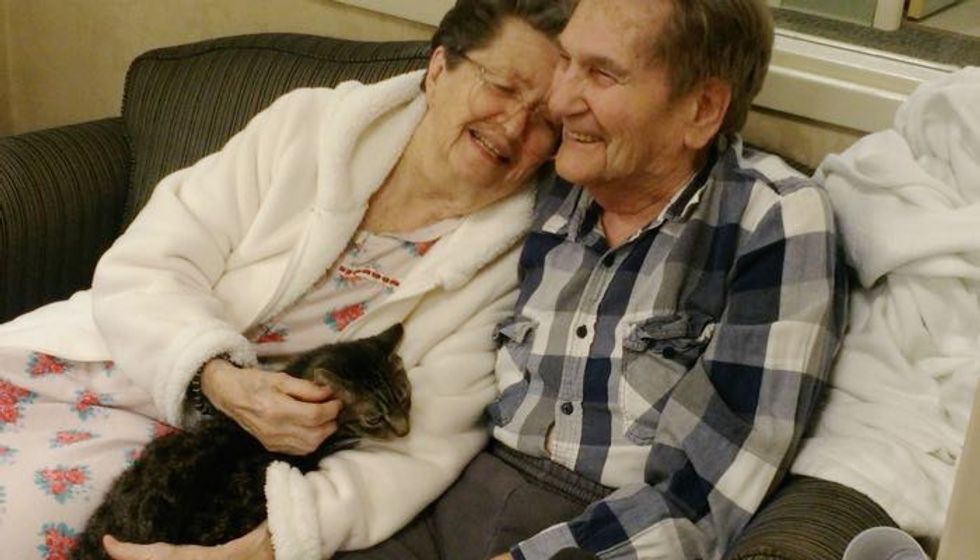 Rescue Cats Visiting Folks at a Nursing Home. This is What Happiness Looks Like!