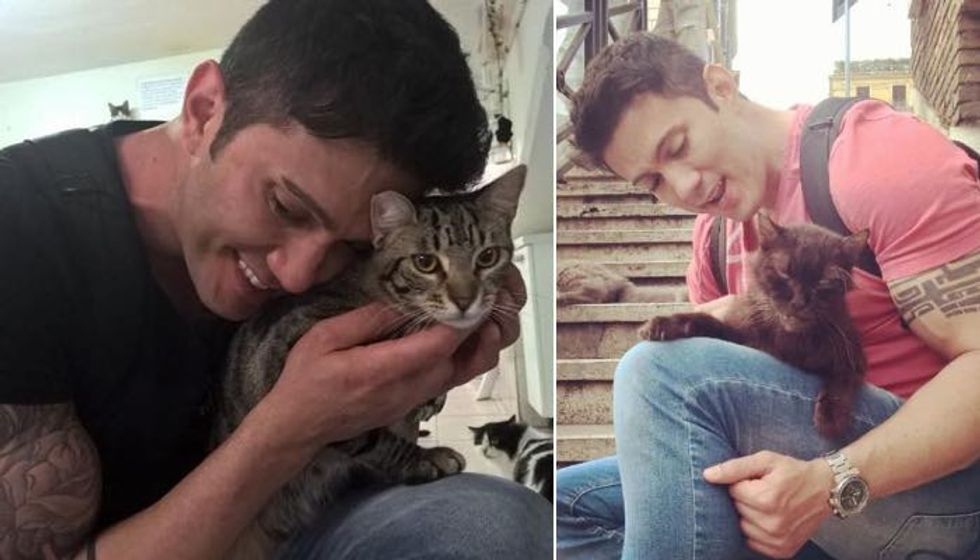 Man Visits Cats Wherever He Travels and Rescues Those Who Need a Home (10+ photos)