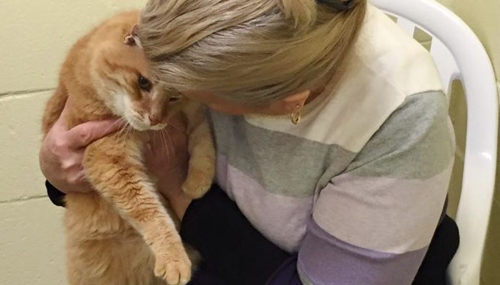 Woman Adopts Senior Cat, Comes Back to Shelter for His Old Friend