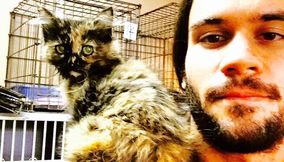 Shoulder Kitten Picks Man at the Shelter, Then and Now!