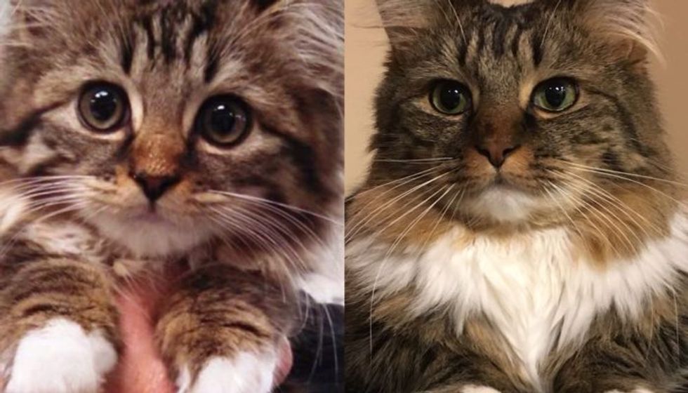 A Year After Shelter, What a Difference! (8 Photos)