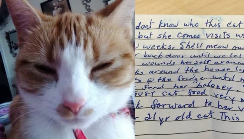 Cat Went to Visit Neighbors and Came Home with This Note attached to Her -  Love Meow