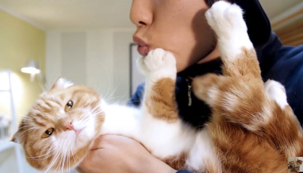Man Tries to Kiss His Cats who Pretend They Can't See Him