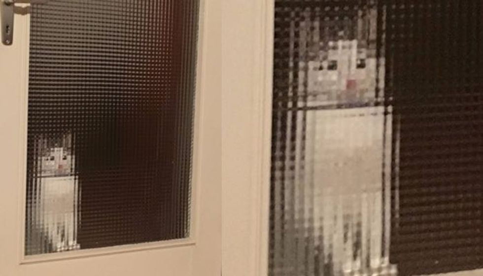 Man Comes Home to a Pixelated Cat Waiting for Him by the Door