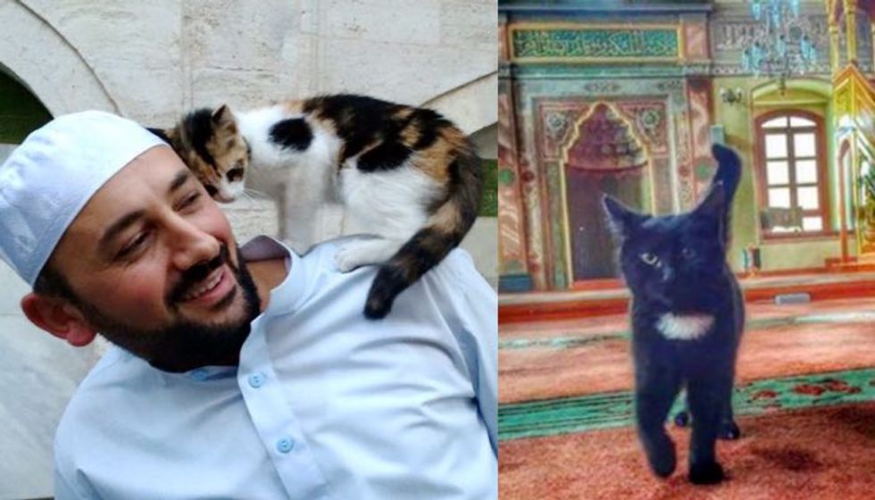 Man Opens Mosque’s Doors for Stray Cats to Give Them Shelter and Keep Them Warm