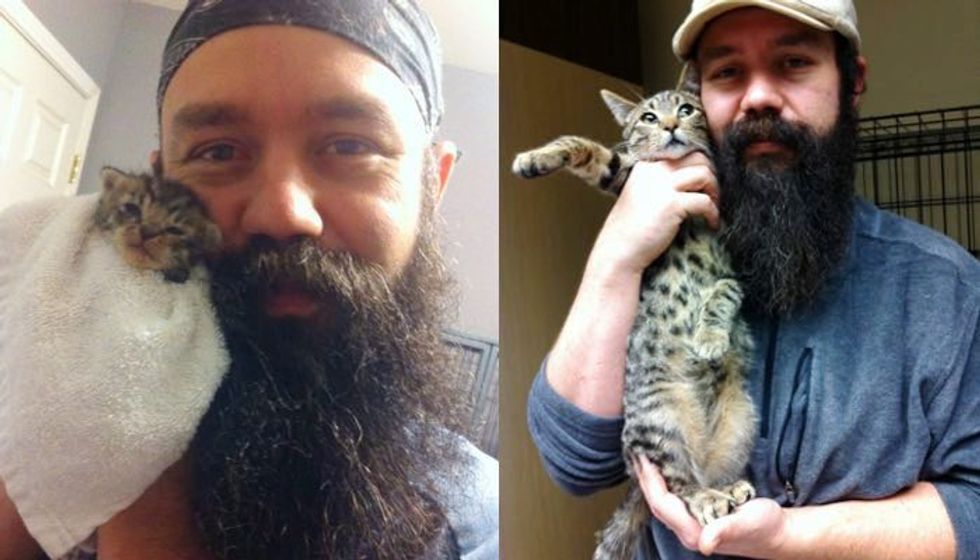 Man Shows Rescue Kitten Growing Faster Than His Beard